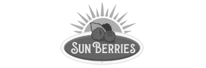 Sunberries